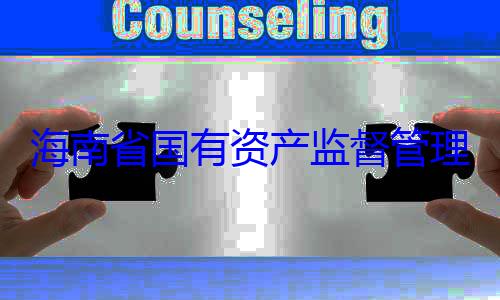 有福接受审委副书记王海南省国有理委员会党查调查资产监督管